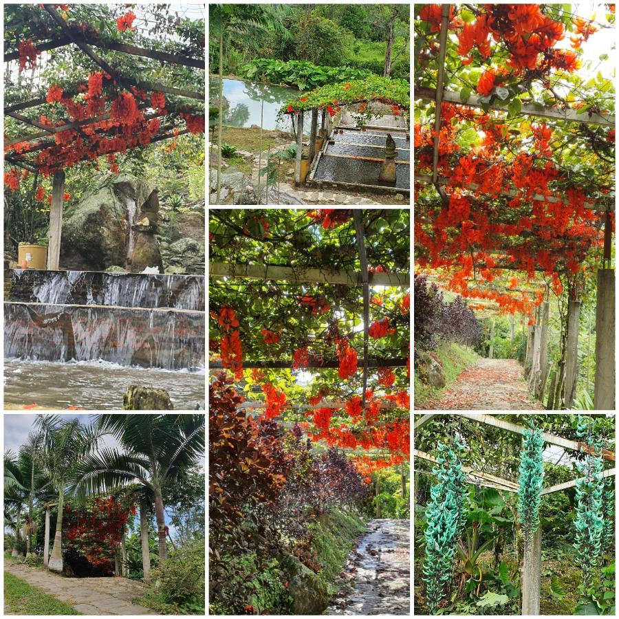 Finca Jardin Del Agua Sasaima Exterior photo