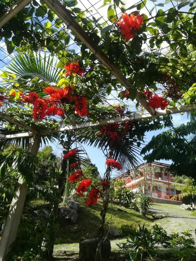 Finca Jardin Del Agua Villa Sasaima Exterior photo