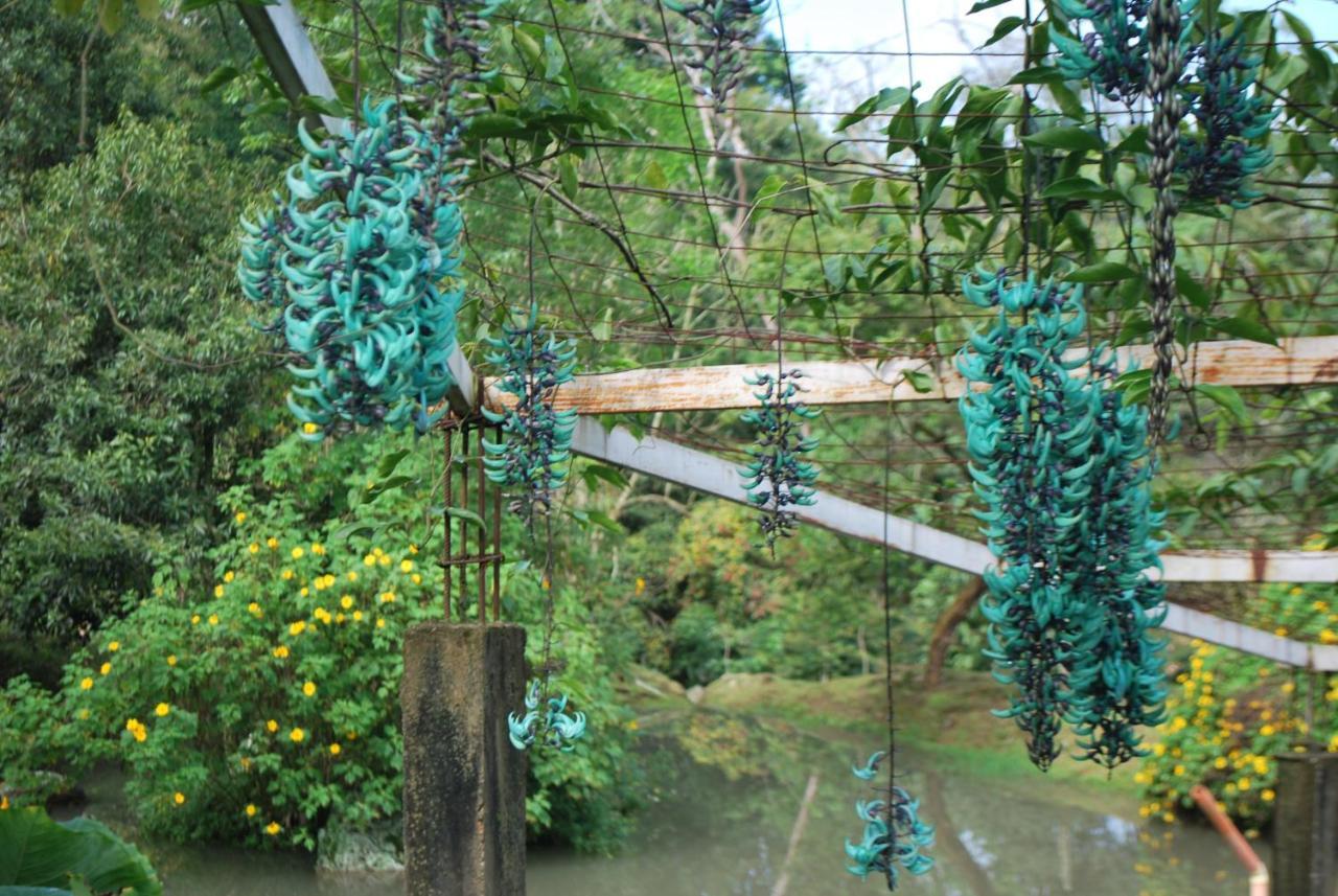 Finca Jardin Del Agua Sasaima Exterior photo