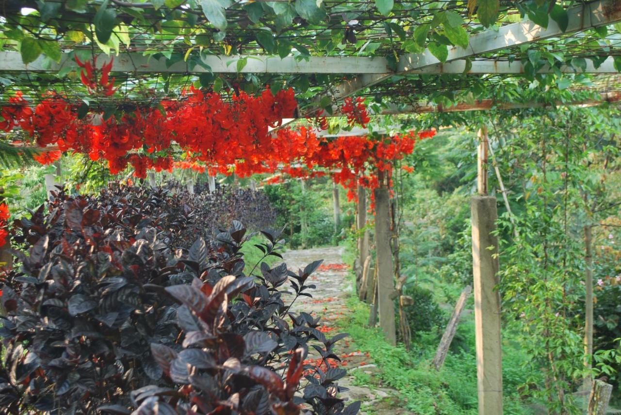 Finca Jardin Del Agua Villa Sasaima Exterior photo