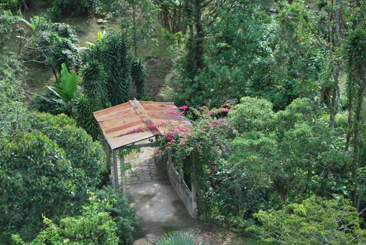 Finca Jardin Del Agua Sasaima Exterior photo